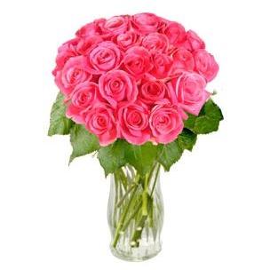 24 Pink Roses