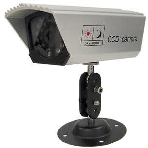 CCD COLOR DAY/NIGHT CAMERA