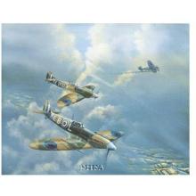 Straggler (Spitfires) Poster Print