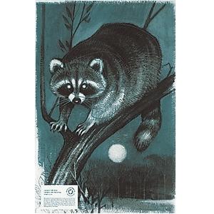 MLP Auth Raccoon Face
