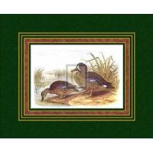 H. Jones - Ducks III Size 16x13 Poster Print