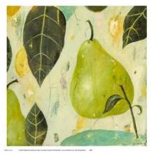 Pear Poster Print
