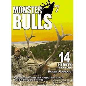 RT Monster Bulls 7