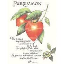 Persimmon Poster Print