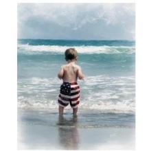Old Glory Poster Print