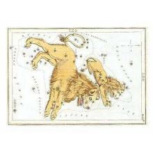 Zodiac Symbols - Leo Poster Print
