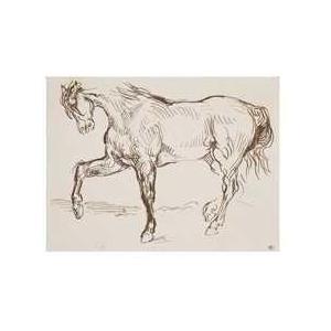 Horse Poster Print