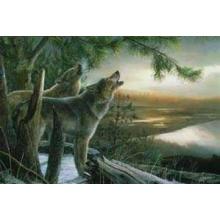 Howling Wolves Poster Print