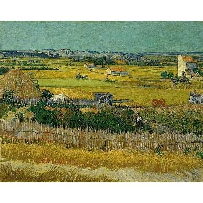 The Harvest, Arles 6/1888 Poster Print
