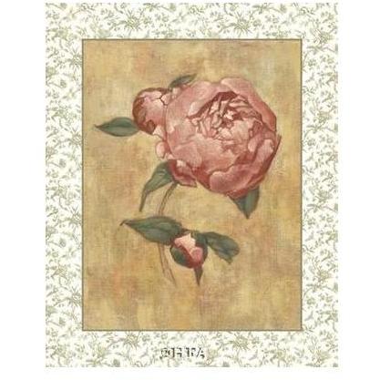 Antique Peony II Poster Print