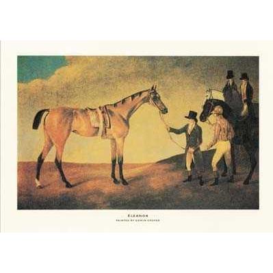 Eleanor (Race Horse) Poster Print