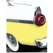 Tail Fins And Two Tones VI Poster Print