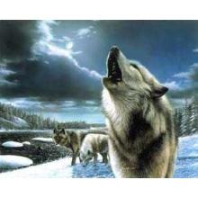 Wolves (Howling) Poster Print