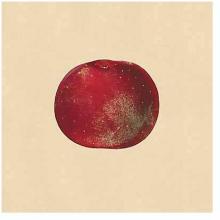 Apple & Pear Studies Poster Print