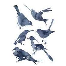 Birds Poster Print