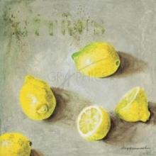 Citrus Poster Print