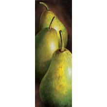 Pere Poster Print