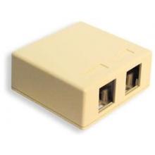 ICC IC107SB2IV - SURFACE BOX 2PT I