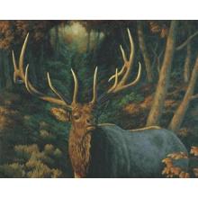 Crista Forest - Autumn Majesty Size 5x4 Poster Print
