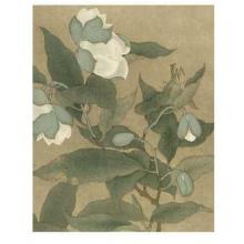 Magnolia And Praying Mantis Poster Print