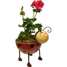 Alpine Iron Planter - Ladybug