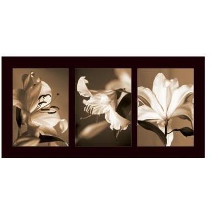 Lily Trio Poster Print