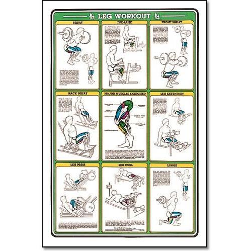 ALGRA Fitnus Chart -Leg Workout 23 Inchx35 Inch (EA)