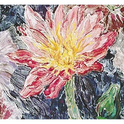 Water Lily Poster Print