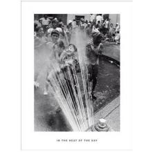In The Heat Of The Day Poster Print