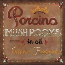 Tobias - Mushrooms Size 12x12 Poster Print