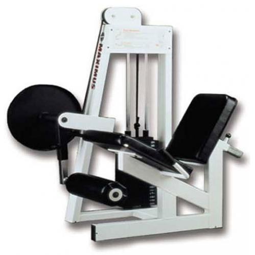 Maximus Seated Knee Extension