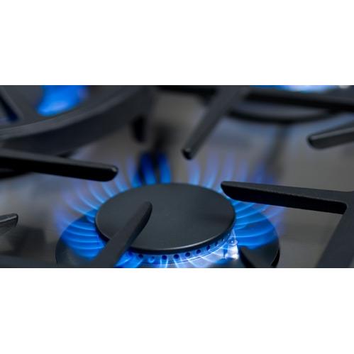 Capital Range Burners