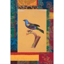 Blue Green Tanager Poster Print