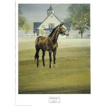 Ready To Race Poster Print