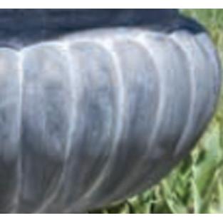 Urn Design