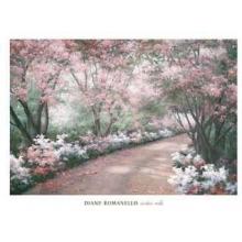 Azalea Walk Poster Print