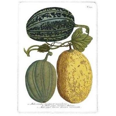 Antique Melons I Poster Print