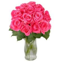 12 Pink Long Stem Roses