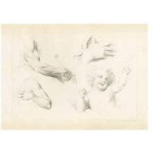 Drawing Studies Poster Print