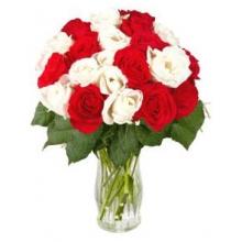 24 Red White Roses