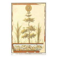Ah10 Mystical Tree Mural Poster Print