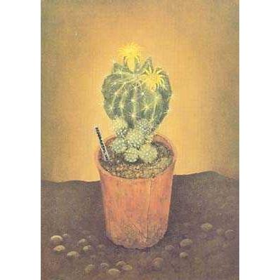 Cactus Plants In Pots Poster Print
