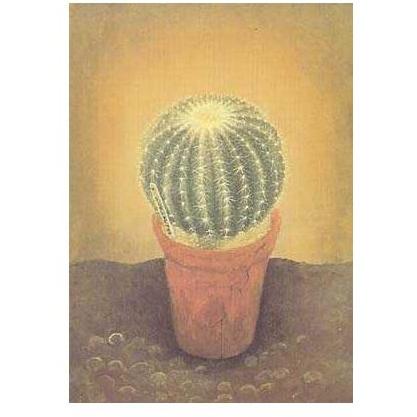 Cactus Plants In Pots Poster Print