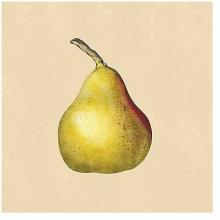 Apple & Pear Studies Poster Print