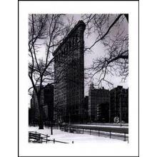 Flat Iron Building Poster Print