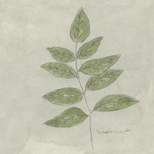 Leaf Element Ll Poster Print
