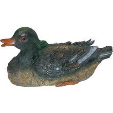 Alpine Floating Duck
