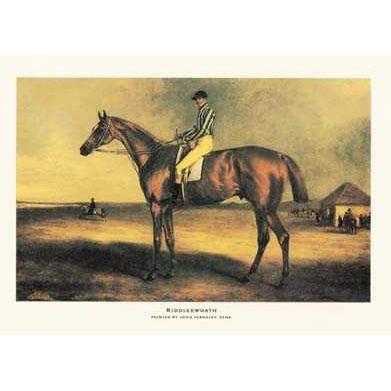 Riddlesworth (Race Horse) Poster Print