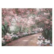 Azalea Walk Poster Print