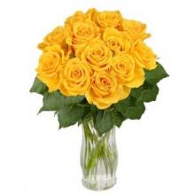 12 Yellow Long Stem Roses